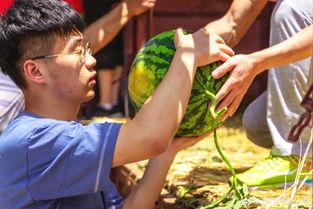吃瓜黄衣男子,揭秘吃瓜黄衣男子的神秘面纱